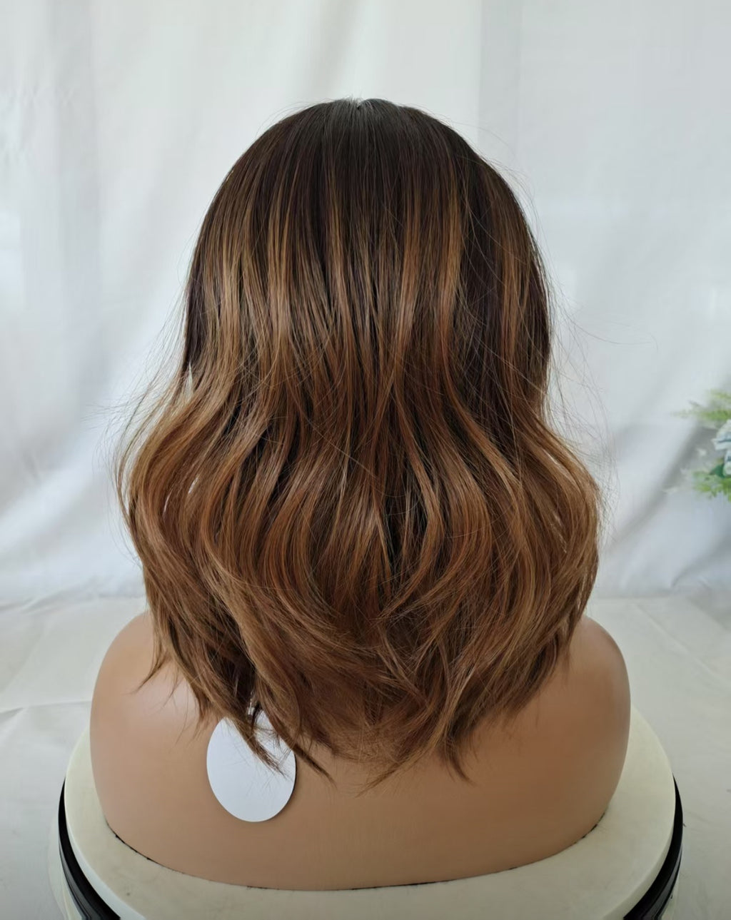 SEASHELL DREAMS Pre-Order