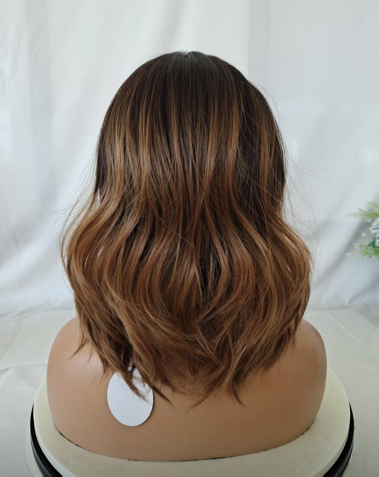 SEASHELL DREAMS Pre-Order