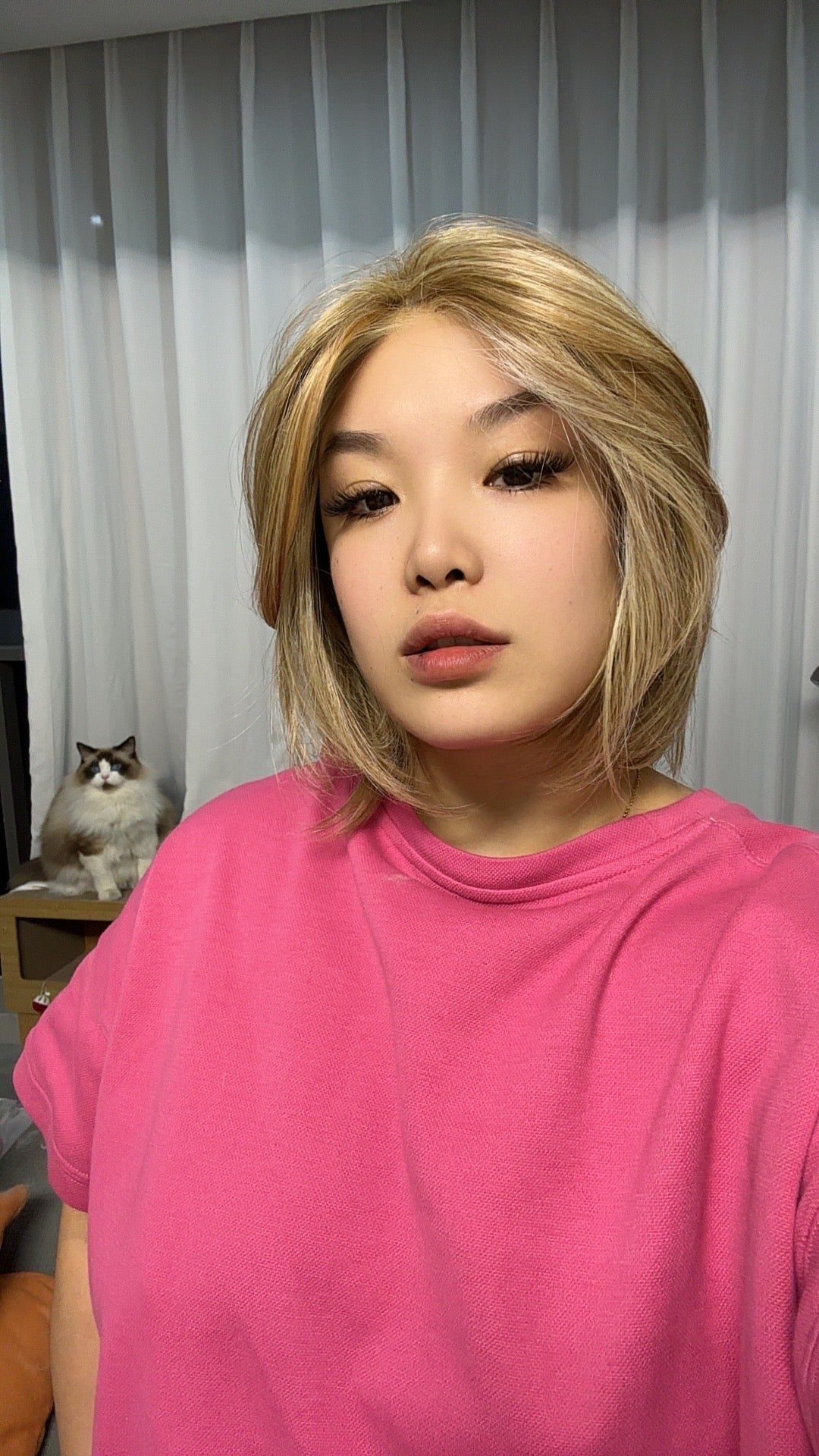 HOT OF SEASON - 12 Inches Bob Cut Honey Blonde Pre-Cut Snowflake Lace Frontlace Glueless Wig KHLOE HONEY BLONDE【PERMATEASE】【BENDY EAR TABS】